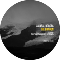Amaral Borges - Lost Data [Crossfade Sounds]