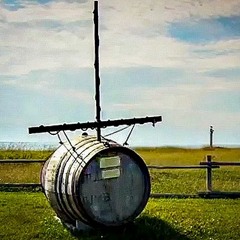 LL HISTOIRES SANS RESERVE Court - 12 JANVIER 2021