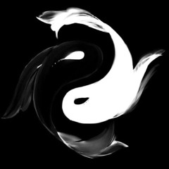 ⌞ Yin × Yang ⌝