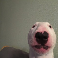 AAAAAAAAAAAAAAAAAAAAAAAAAAAAAAAAAAA