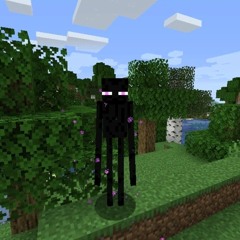 Minecraft:3