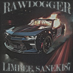 limbee, Sanek187 - RAWDOGGER (original mix)