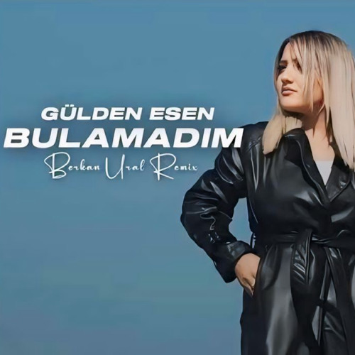 Bulamadım (Remix)