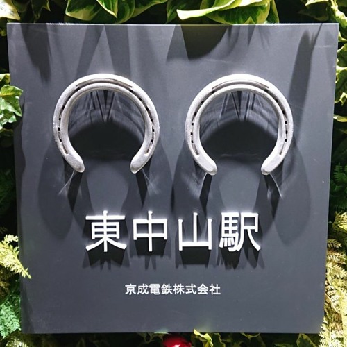 中山の直線は短いぞ