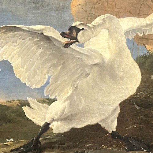 Still In My Head with Shae