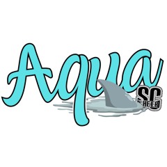 South Coast Cheer Aqua 25-26