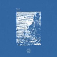 Noah Lyas - Triple Rainbow (Owl Remix) [ETEREA]