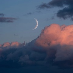 silent - just a dream p. prodglosky