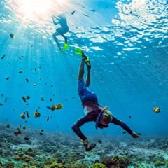 Best Snorkeling Resorts In Jamaica Prices Reviews