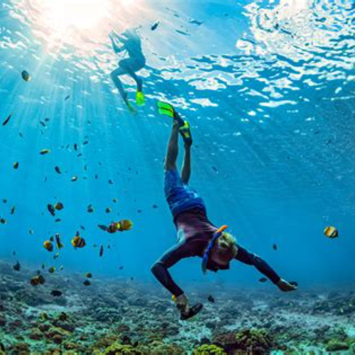 Best Snorkeling Resorts In Jamaica Prices Reviews