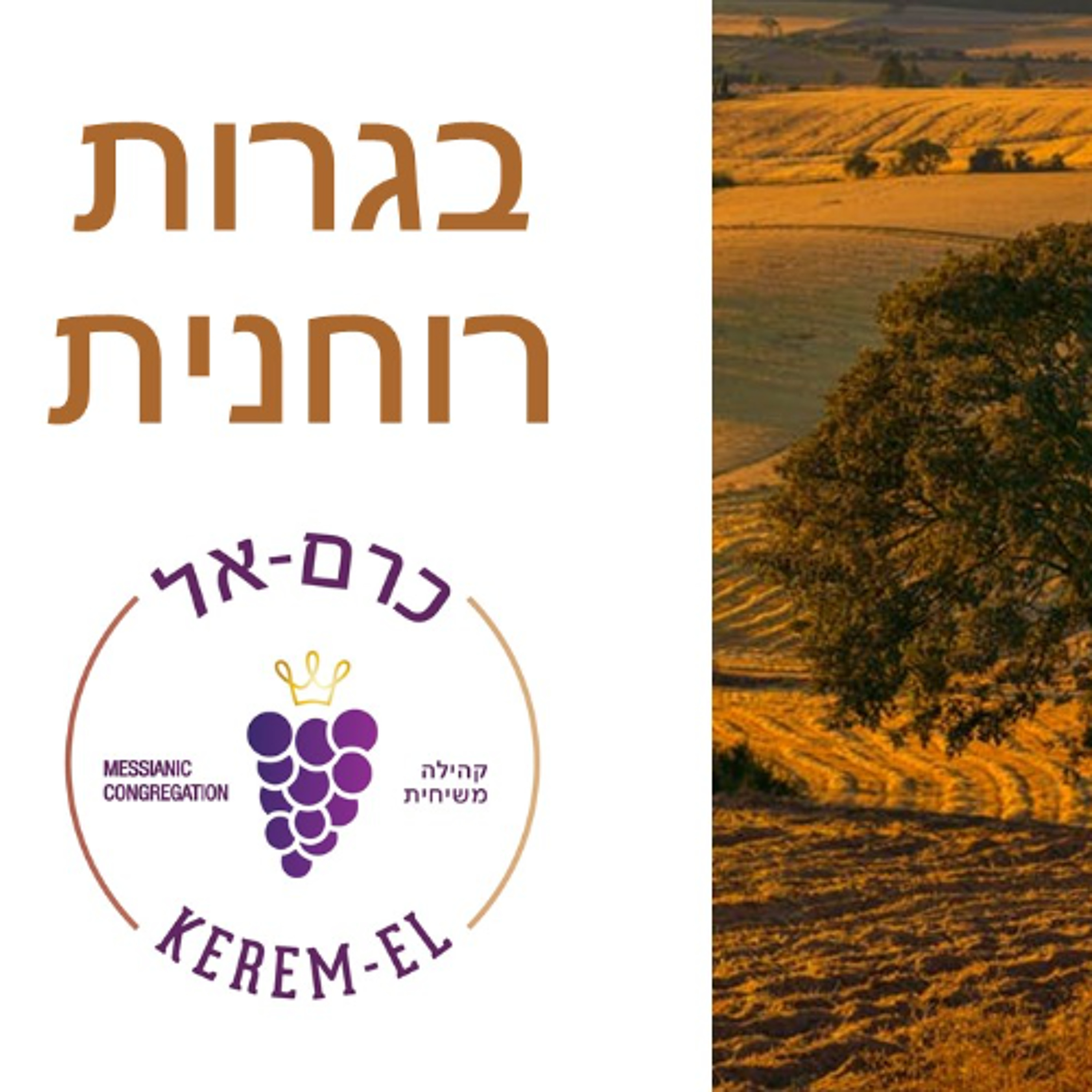 צעדים לבגרות במשיח - אל העברים פרק י"ב פס' 7-12 - 7.5.2022 episode artwork