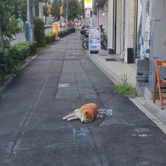 真心ブラザーズのグレートアドベンチャーファミリー