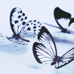 Butterflies-Trap Type Beat (Tagget)