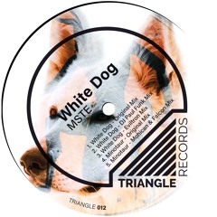 Preview 1. MSTE - White Dog (Original Mix)