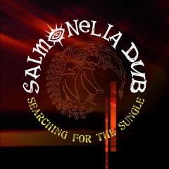 Searching for the Sungle [Album mix]