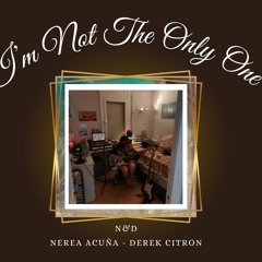 I'm Not The Only One ~ N&D Cover