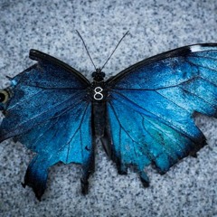 🦋Ulysses - AFTER 8, Afterlife Inspired Mix (01 - 2021)