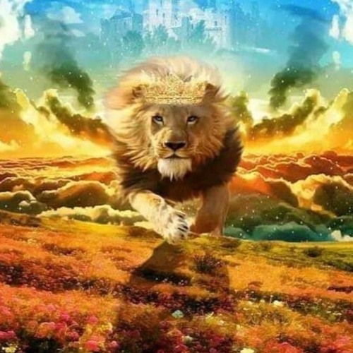 في المسيح لنا رجاء + إن الرب يخرج للحرب+ صلاة لا لعنات -دكتور ثروت ماهر - خدمة السماء على الأرض-مصر