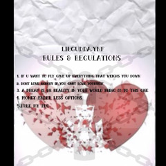 Lilgudda.ynf rules & regulations