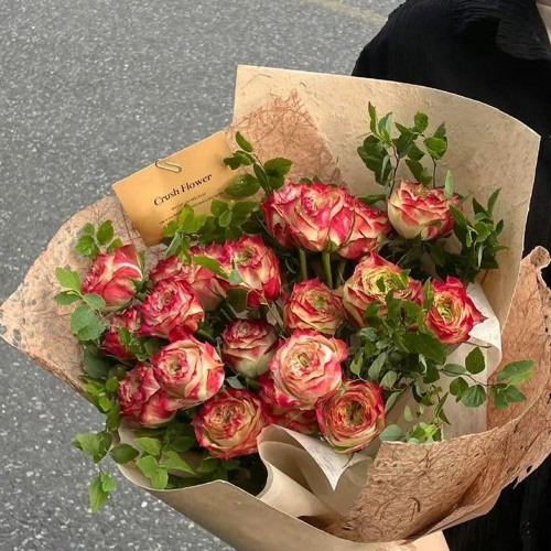 Thịnh Vượng Việt Nam Sáng Ngời Remix