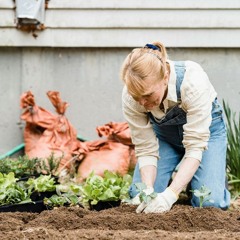 Soluciones de licuación patrimonial (Empresa Global - nº245)