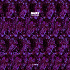 494# PREMIERE: Saurio - Lyrans [Hxagrm Records]
