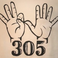 305 Series