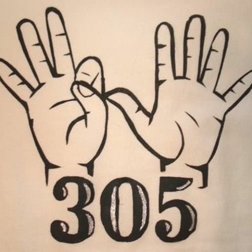 305 Series