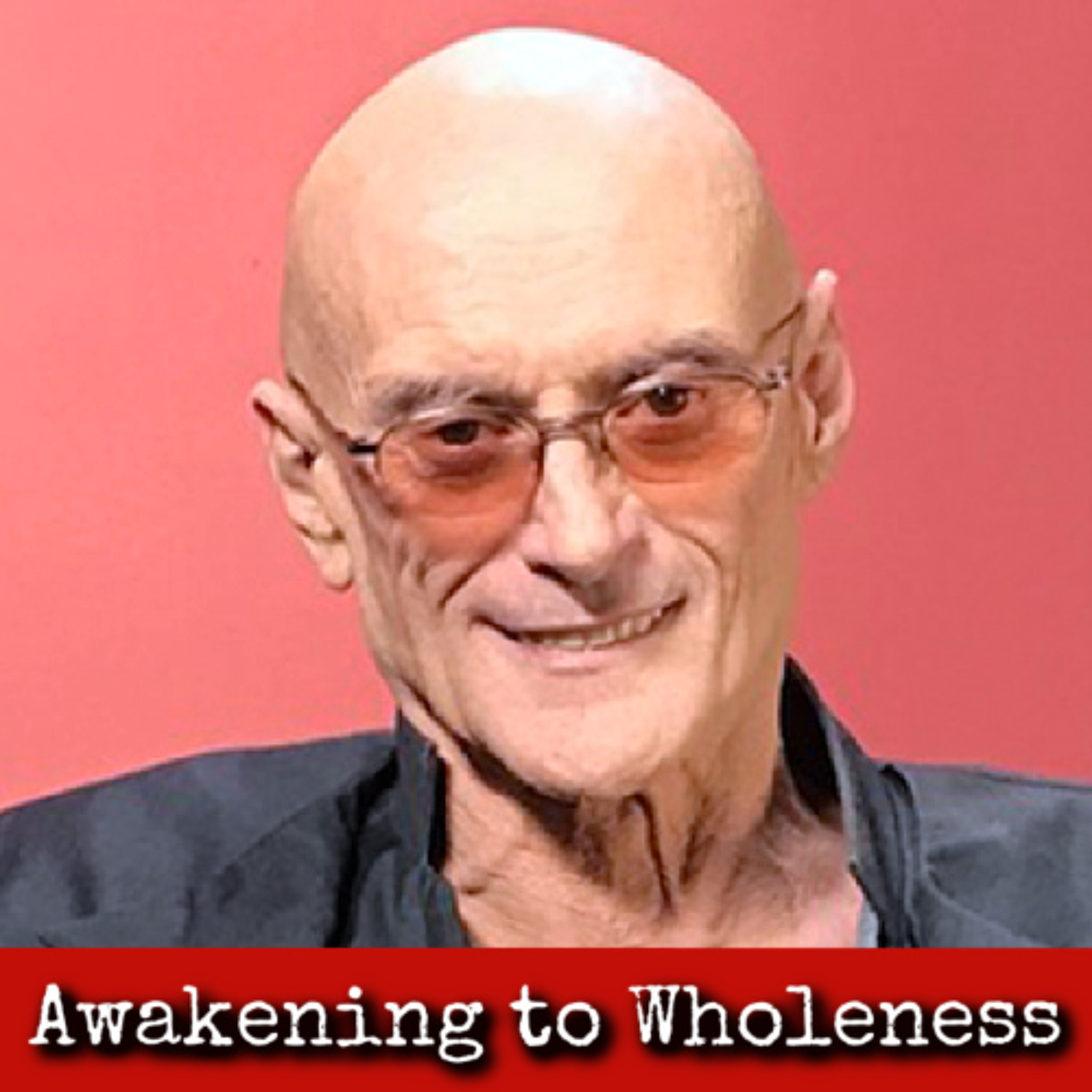 Ep356: Awakening to Wholeness - Ken Wilber