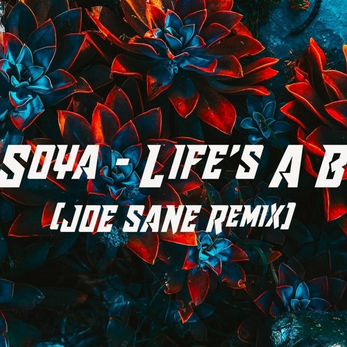 SOYA - Life's A B (JOE SANE Remix) [Free DL]