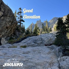 Good Elevation - SWAAMP