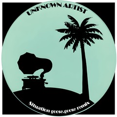 Unknown Artist – Situation [goose.goose dub]