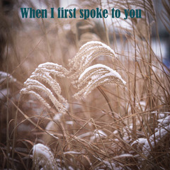 When I First Spoke to You