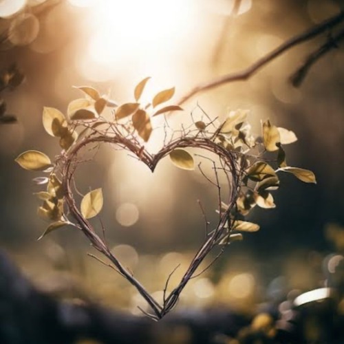 Deepest Desire - My Heart (Just Coffee)