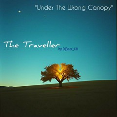 Under The Wrong Canopy