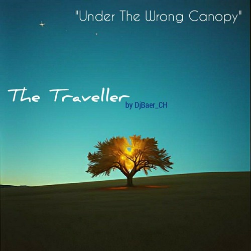 Under The Wrong Canopy