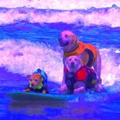 Episode 115 ~ 2nd for Pirate Cat: 2023 World Dog Surfing Championships, EC Twins interview