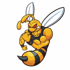 Muscle Bee