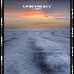 MadTing - Up In The Sky