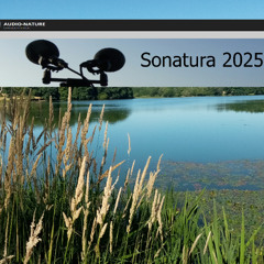 Sonatura 2025