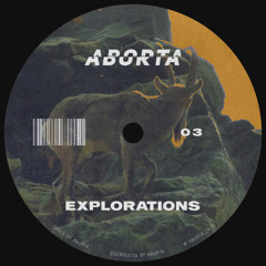 Explorations 03