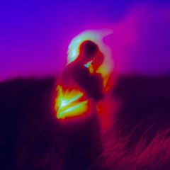 twin flame symphony