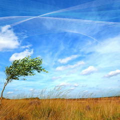 Windblown (v1 Country)