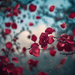 silence