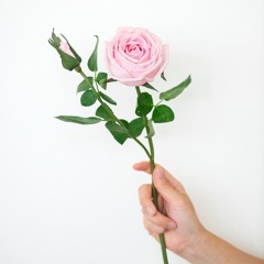 romantic pluggnb