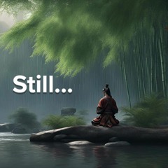 chillOwly - Still