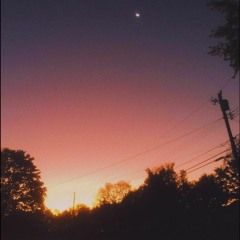 summer nights