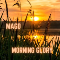 Mago - Morning glory