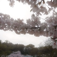 envy.彼女に対する憎しみは毎回ますます大きくなっていきます。