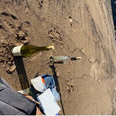 Gargle with Wine, House Mix